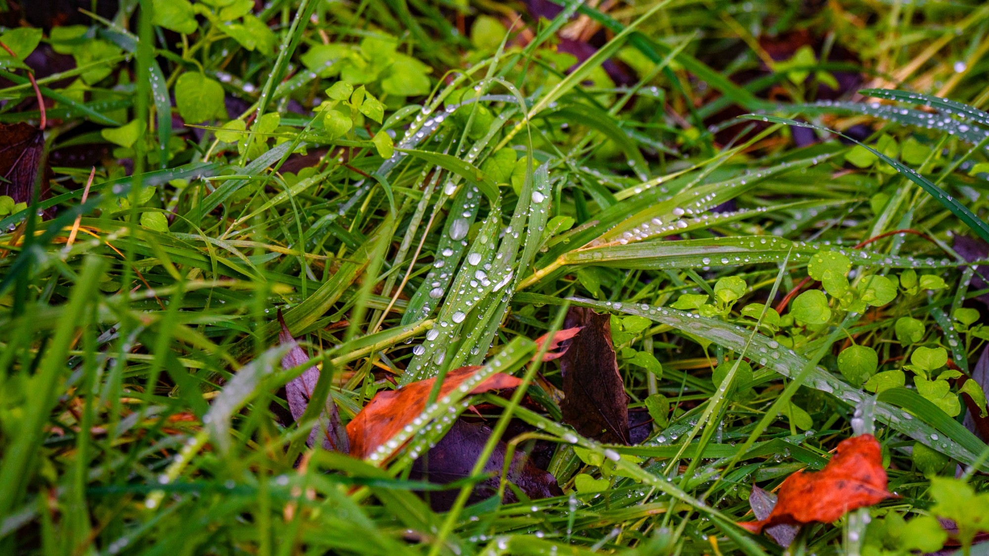 Różne oblicza zimy - zdjęcie 37