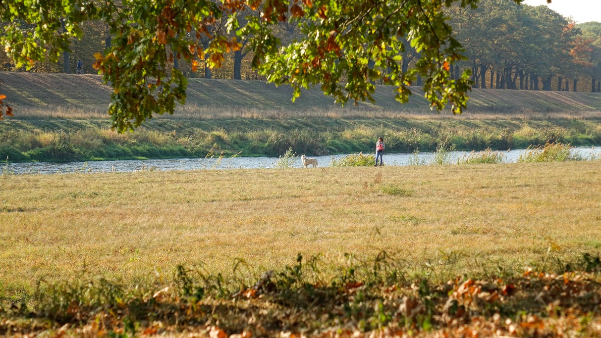 Podróż przez jesienną Polskę - zdjęcie 10