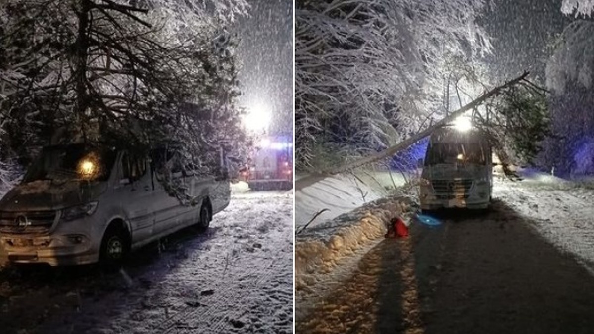 Kopina. Drzewo przewróciło się na autobus. Jedna osoba w szpitalu