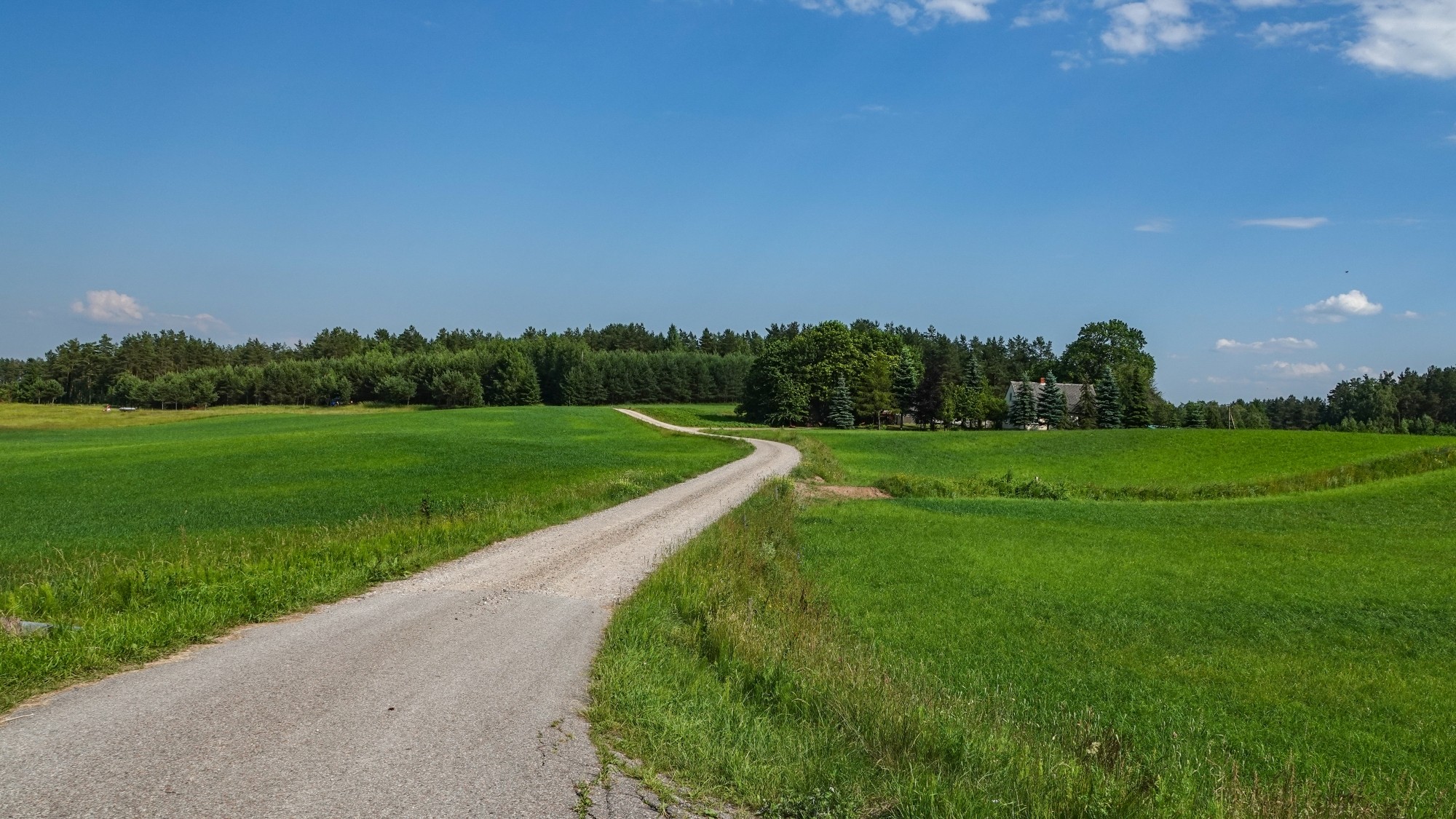 Letnie klimaty na łonie natury - zdjęcie 45