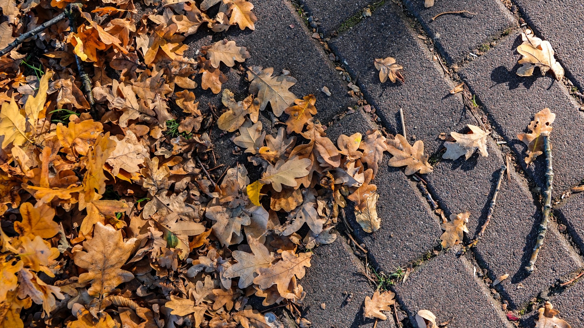 Wszystkie barwy jesieni - zdjęcie 23