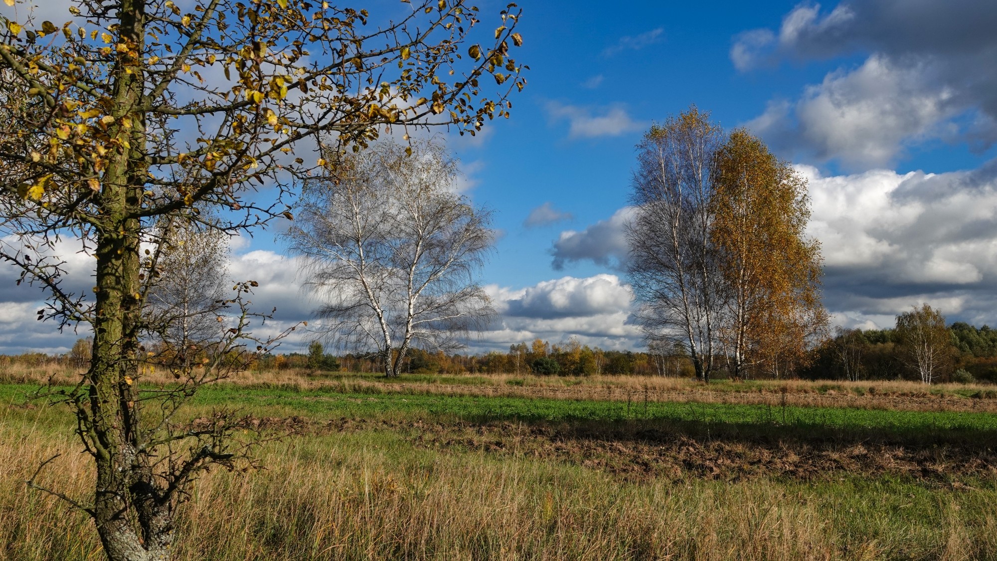 Wszystkie barwy jesieni - zdjęcie 57