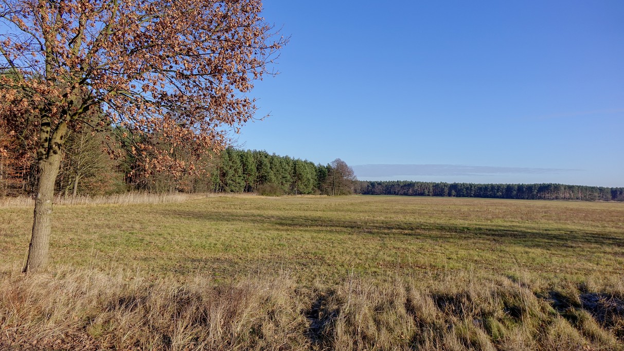 Grudzień w obiektywie - zdjęcie 28