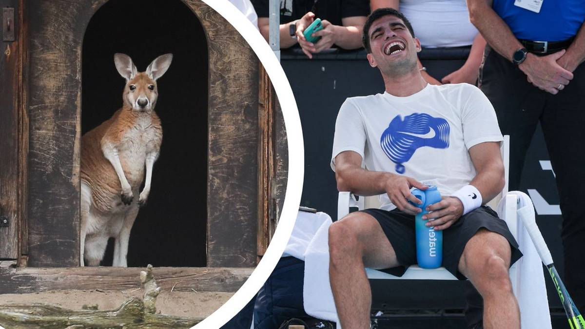 Kangur stojący w swojej zagrodzie i uśmiechnięty mężczyzna siedzący na krześle z butelką wody.