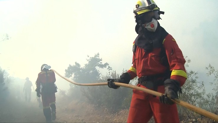 Ponad 20 mln euro strat po pożarze w środkowej Portugalii