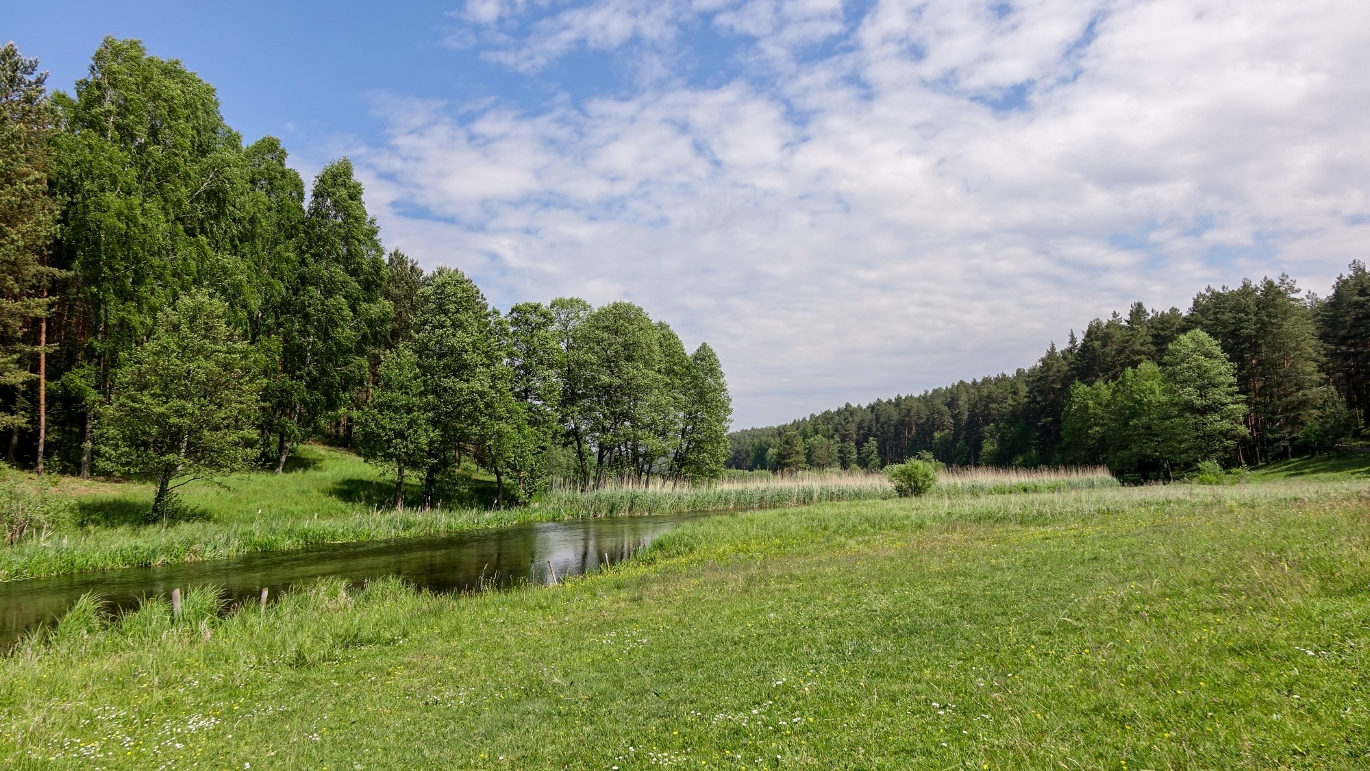Mazury wiosną - zdjęcie 34