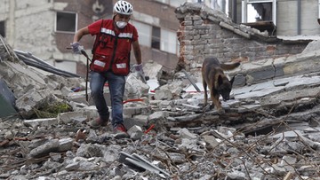 Ponad 270 ofiar trzęsienia ziemi w Meksyku. "Pod gruzami wciąż mogą być żywi ludzie"