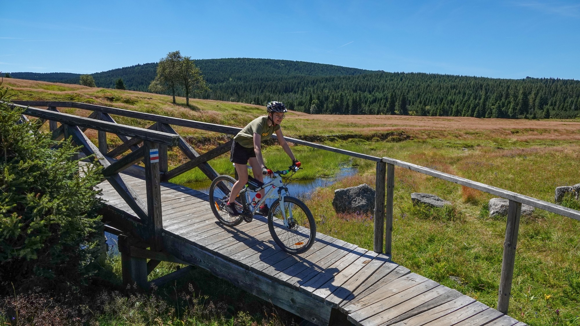 Cztery wakacyjne oblicza Polski - zdjęcie 30