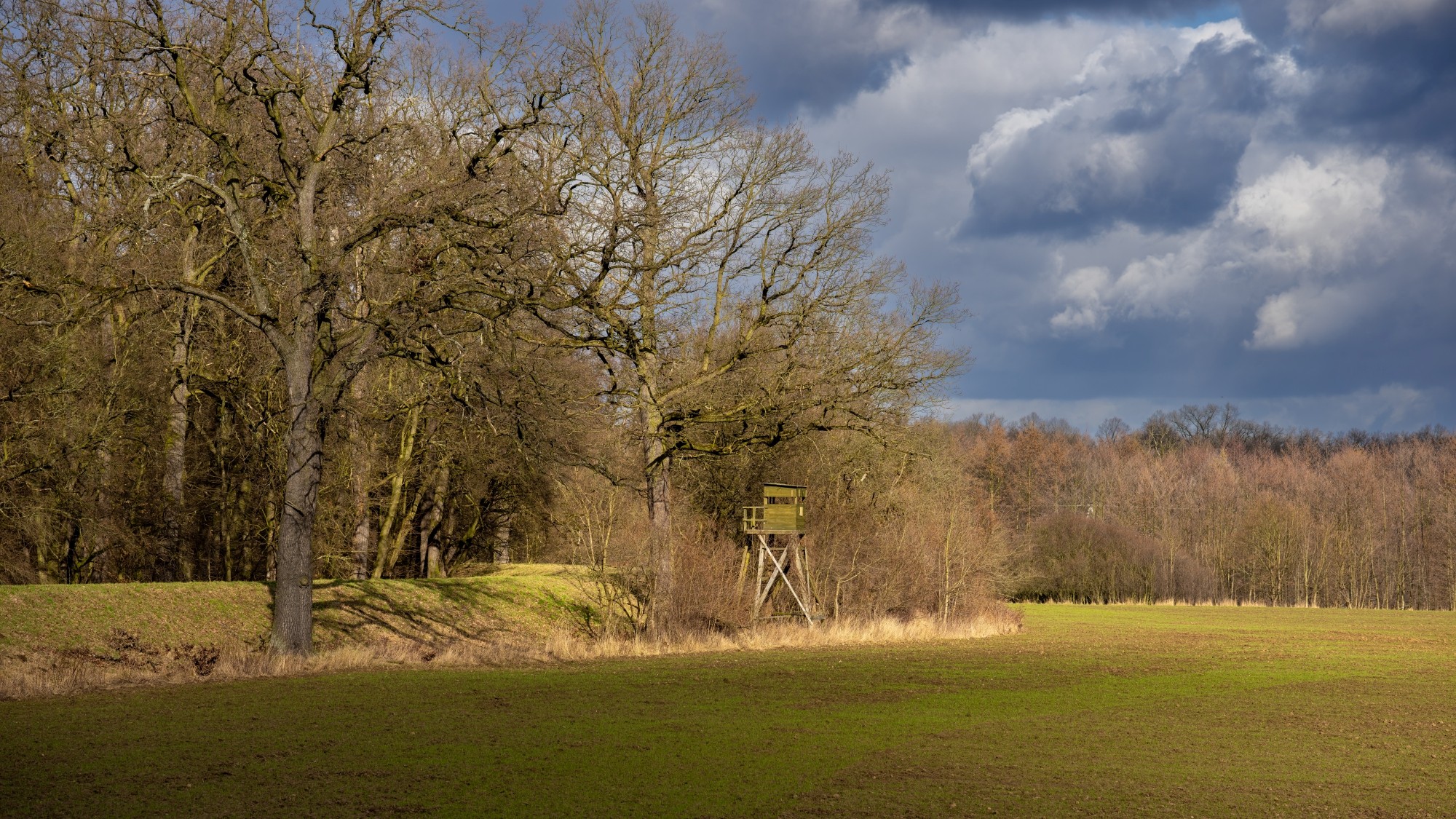 Wiosna coraz bliżej - zdjęcie 37