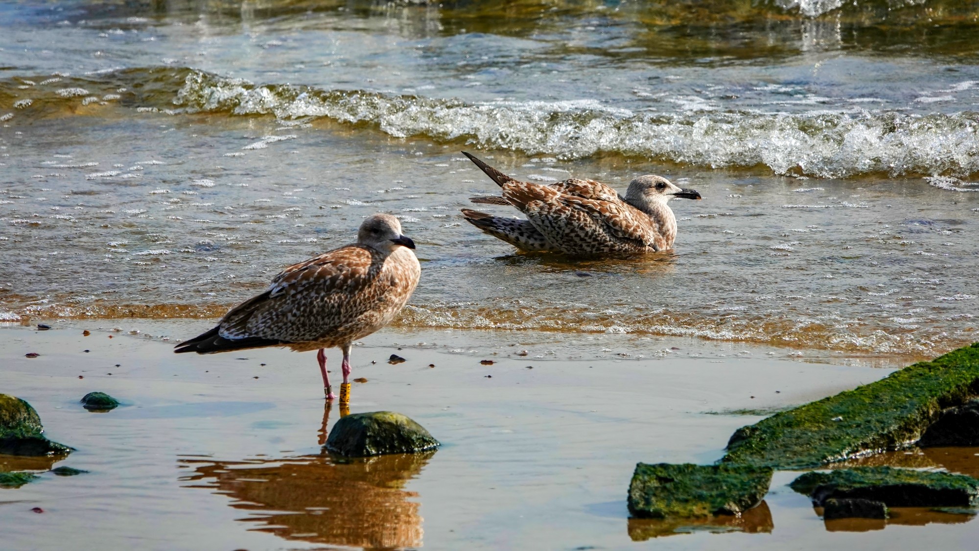 Bałtyk po sezonie - zdjęcie 16