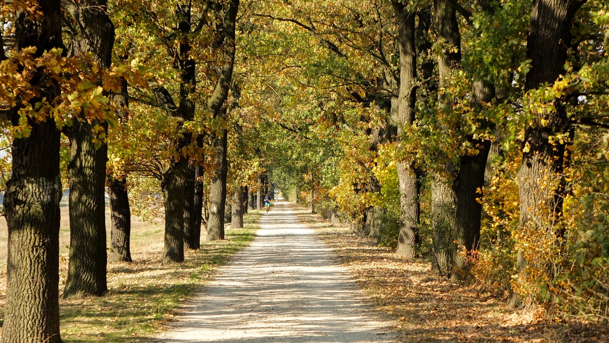 Jesienne klimaty - zdjęcie 13