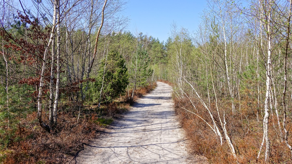 Kwiecień w obiektywie - zdjęcie 16