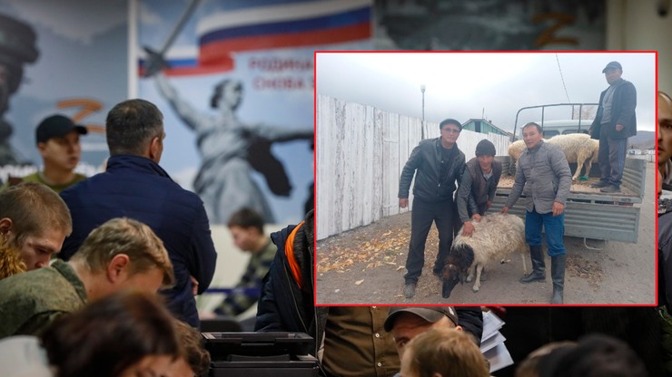 Mobilizacja w Rosji. Rodziny żołnierzy otrzymują owce i węgiel
