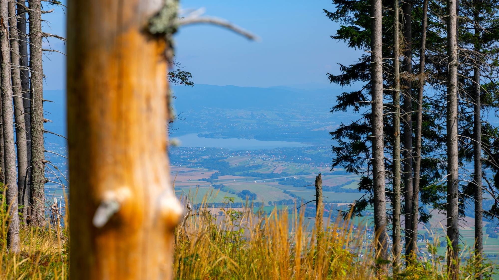 Kolory lata - zdjęcie 26