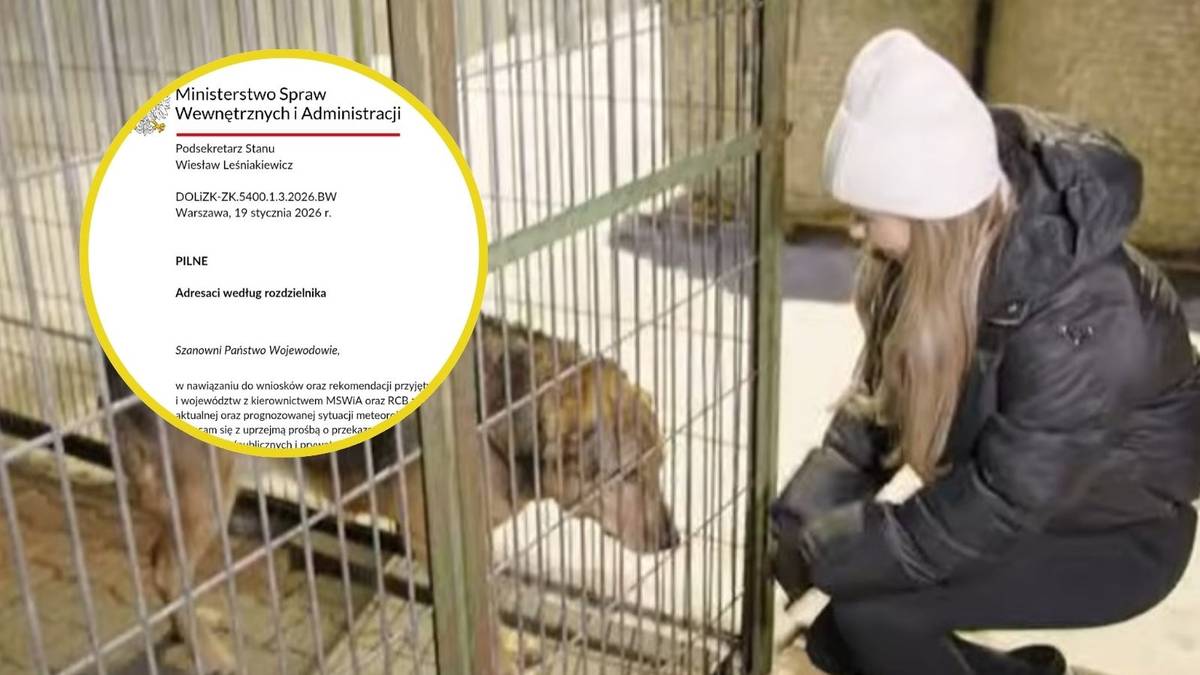 Reakcja na skandal w schronisku w Bytomiu. MSWiA interweniuje