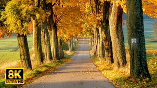 25.09.2021 05:57 Pokażemy Wam drogi i ścieżki prowadzące przez najpiękniejsze polskie krajobrazy
