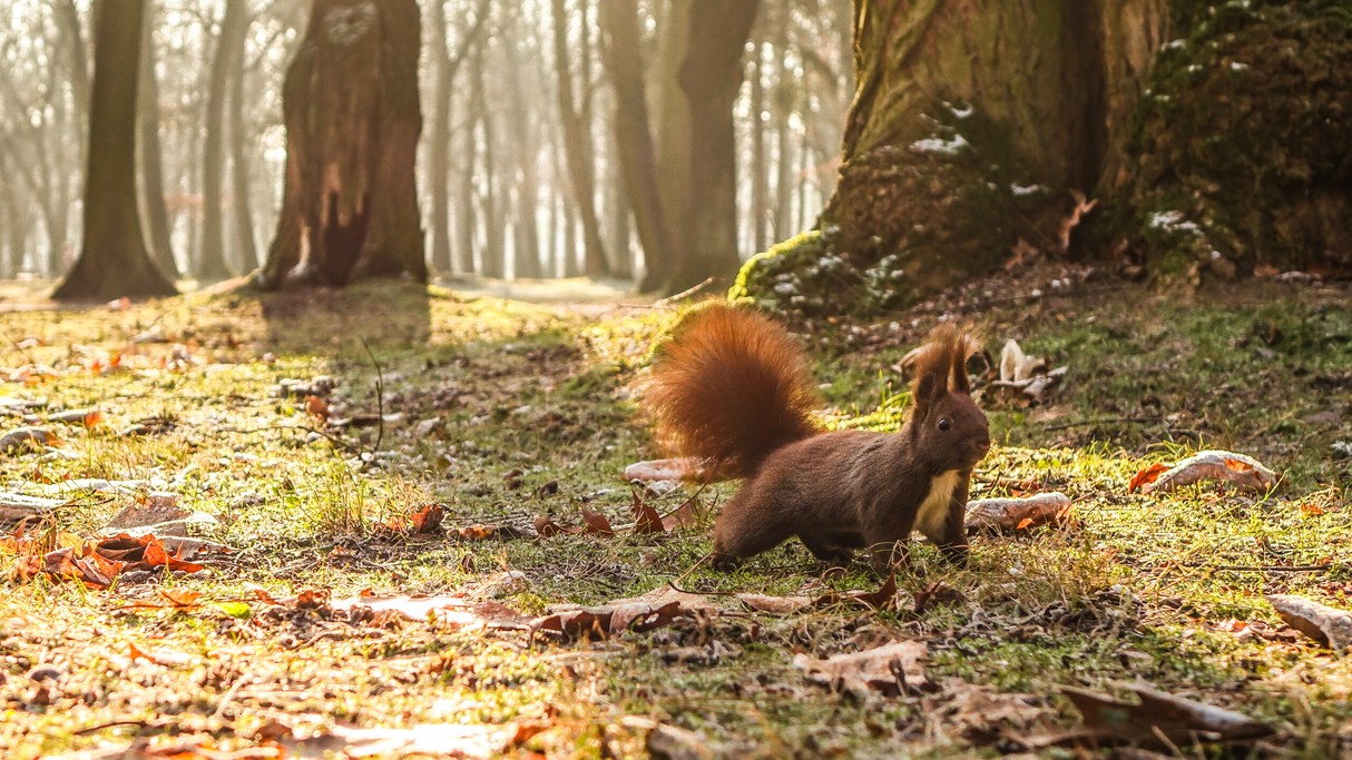 Piękno polskich krajobrazów - zdjęcie 28