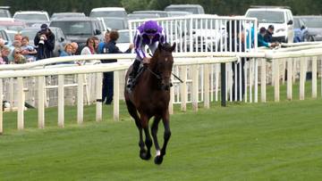 Najważniejszy wyścig weekendu na świecie. Gwiazdy na starcie The Royal Bahrain Irish Champion Stakes