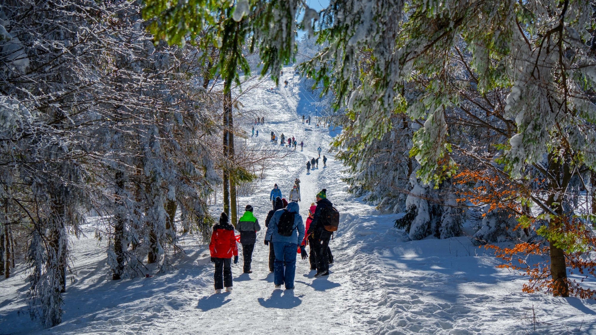 Zima w górach - zdjęcie 10