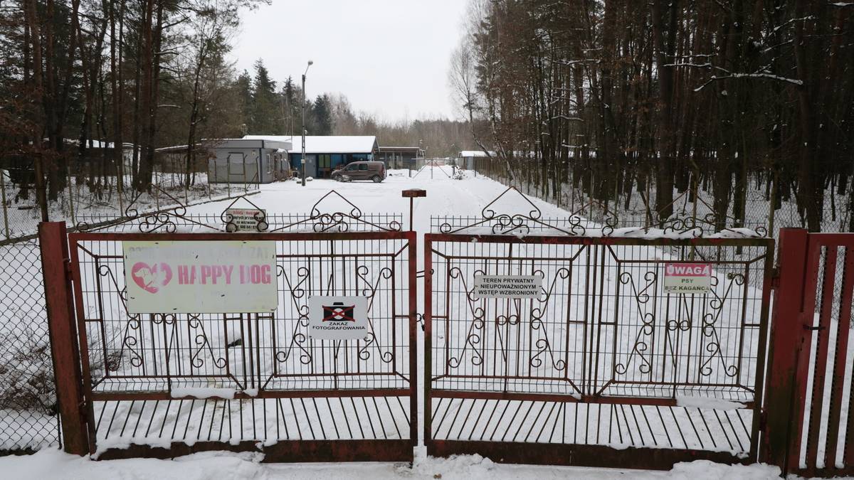 Metalowa, ozdobna brama zamkniętego schroniska dla zwierząt, pokryta śniegiem. Za bramą widoczne budynki i drzewa.