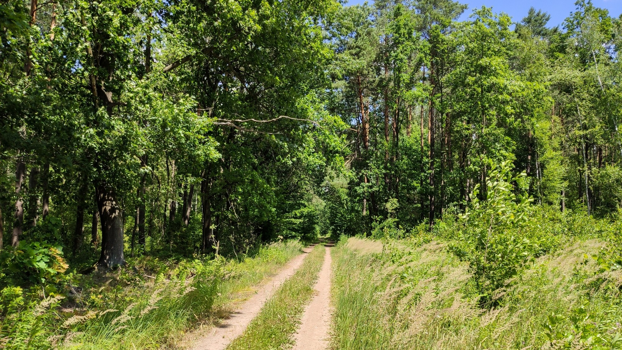 Lipiec w obiektywie - zdjęcie 22