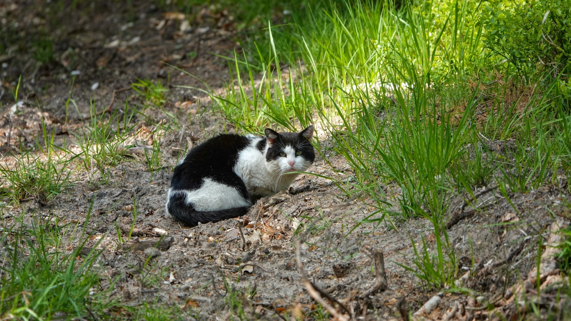 Z kamerą wśród zwierząt - zdjęcie 19