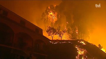 Pożary w Portugalii. Szefowa MSW podała się do dymisji