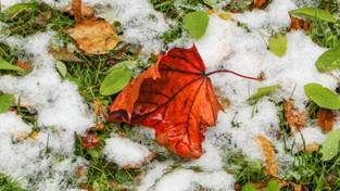 20.10.2023 05:58 Spadł pierwszy śnieg tej jesieni na nizinach. W tych regionach Polski jest już biało