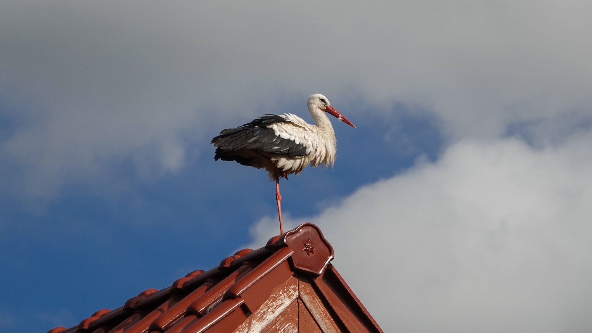 100 najpiękniejszych zdjęć 2020 roku - zdjęcie 71