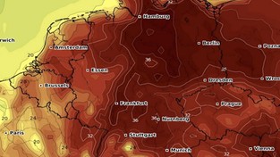 21.07.2022 05:52 Żar nie do wytrzymania. Ponad 40 stopni w Niemczech. Posypały się historyczne rekordy temperatury