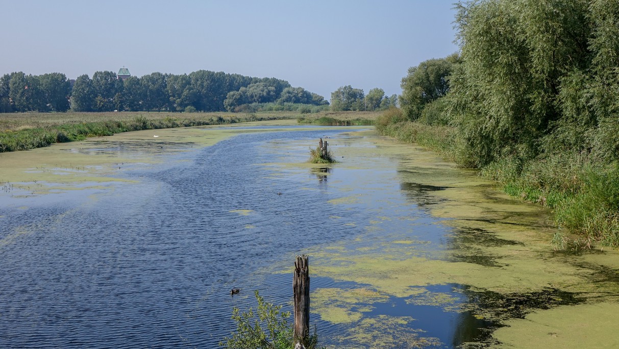 Nad morzem, jeziorami i rzekami - zdjęcie 54