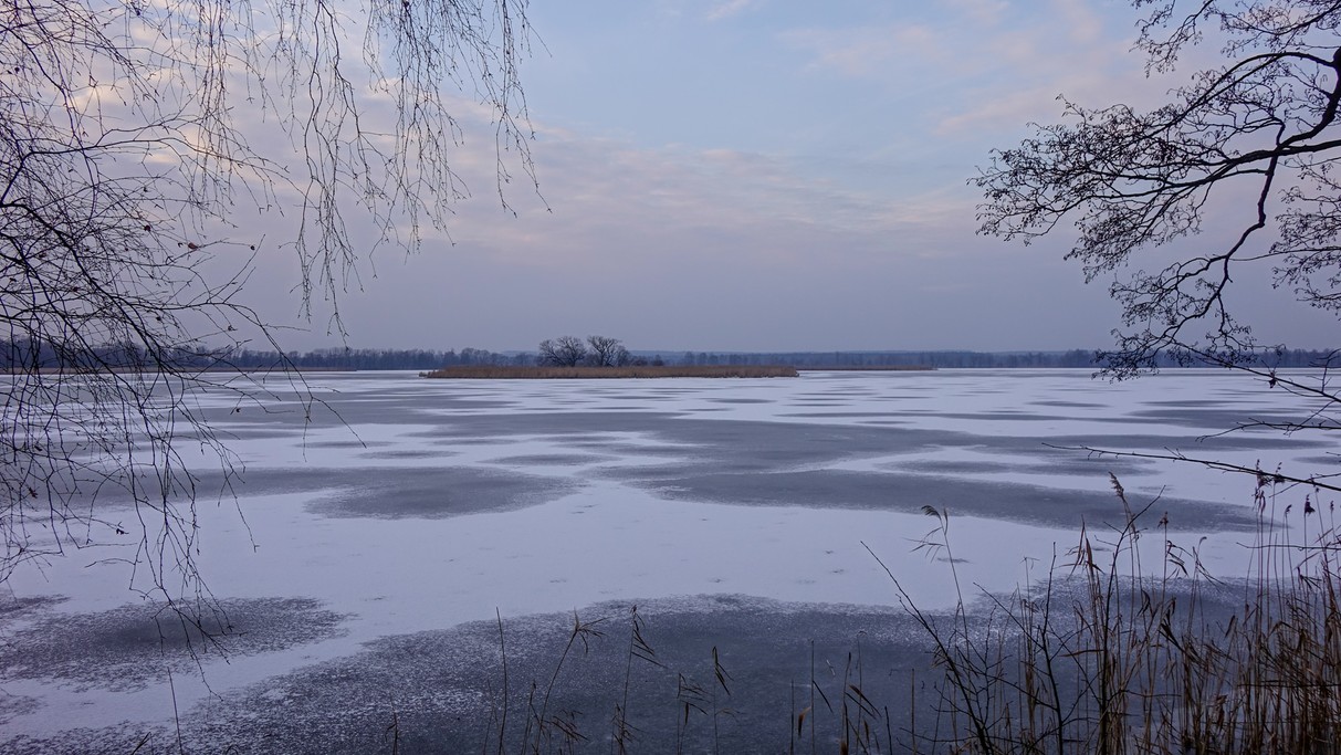 Styczeń w obiektywie - zdjęcie 11