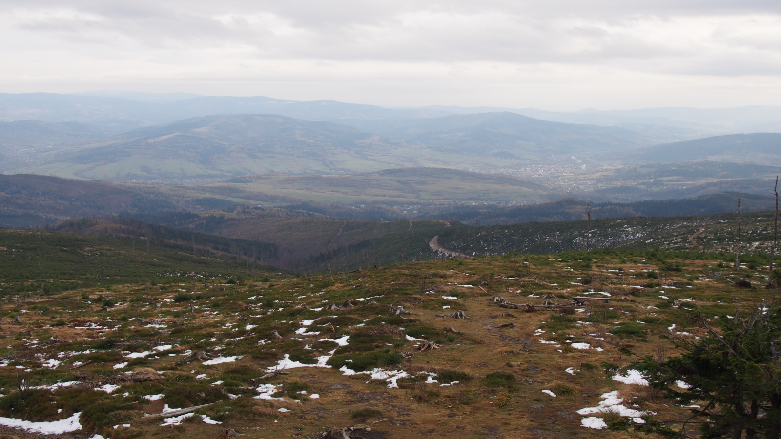 Panorama ze szczytu Baraniej Góry w Beskidzie Śląskim. Fot. Monika Jaworska.