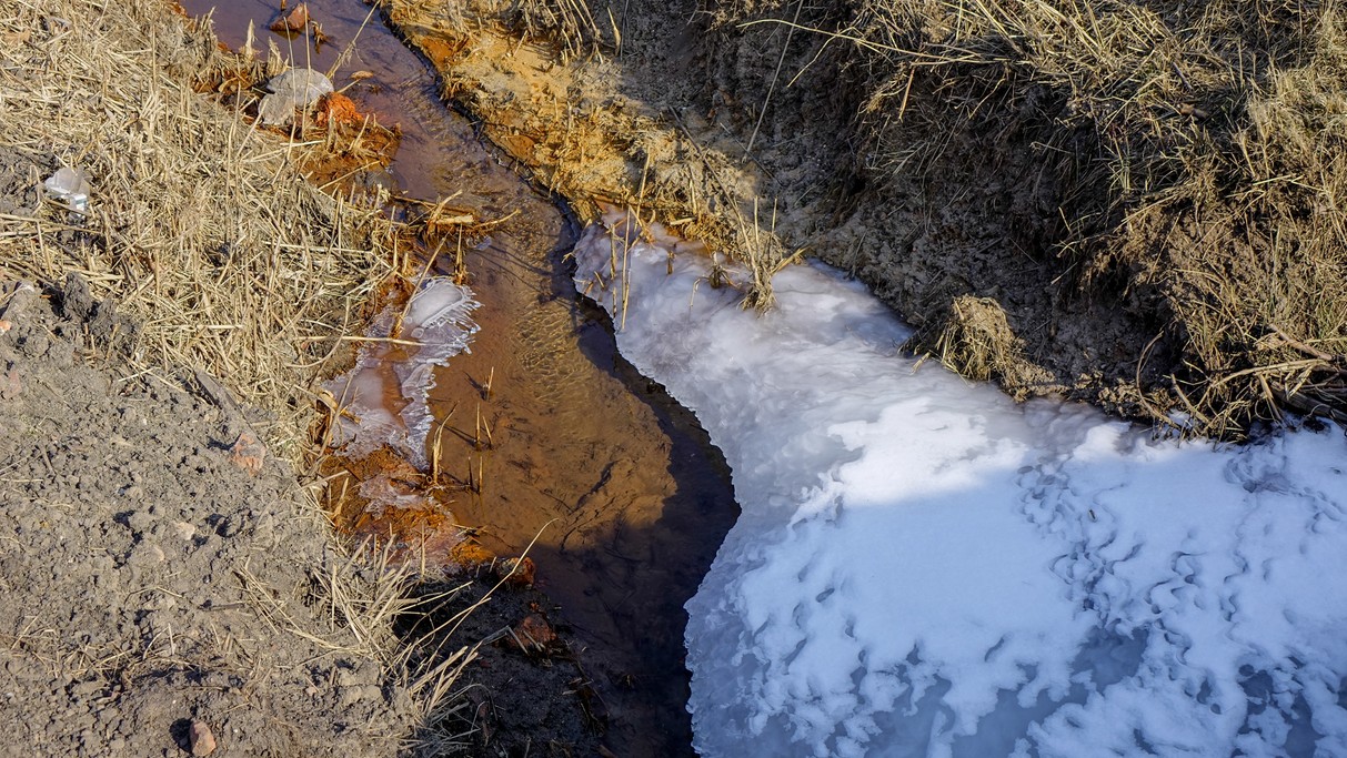 Marzec w obiektywie - zdjęcie 58