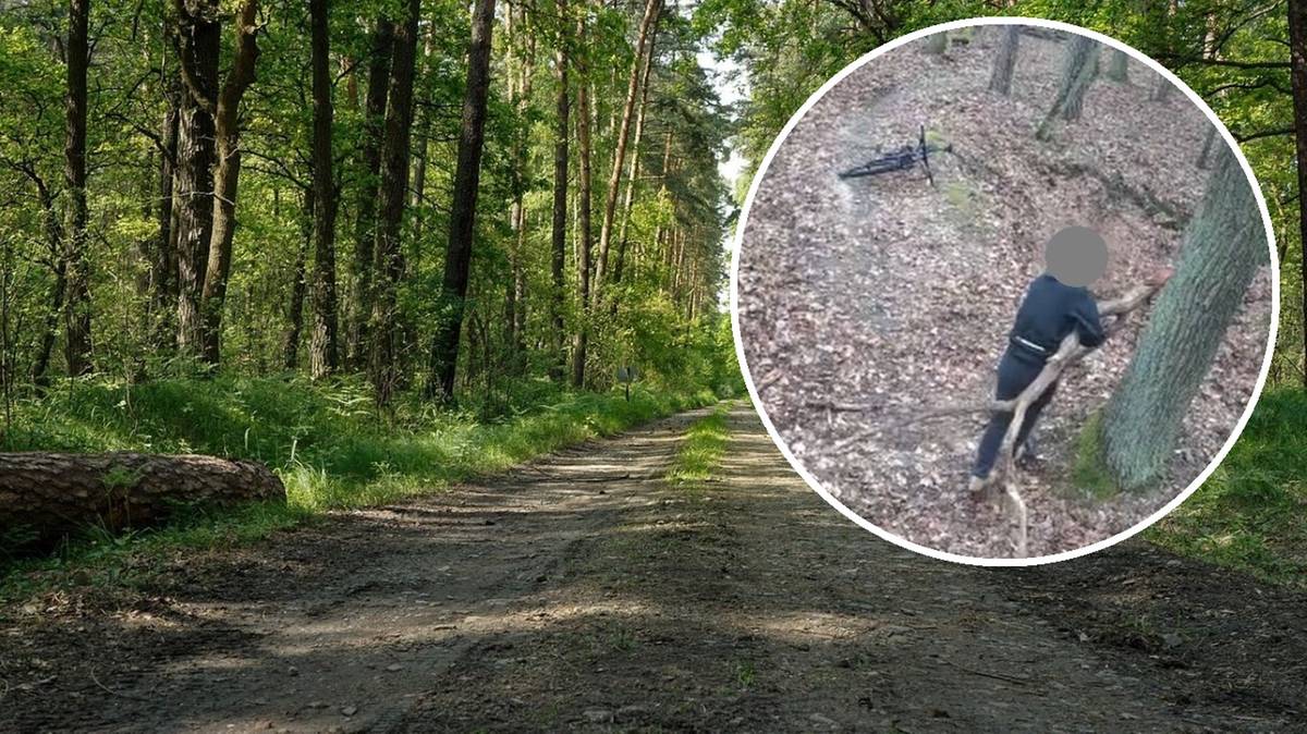 Kampinoski Park Narodowy z ważnym apelem. Pokazał karygodne zachowanie