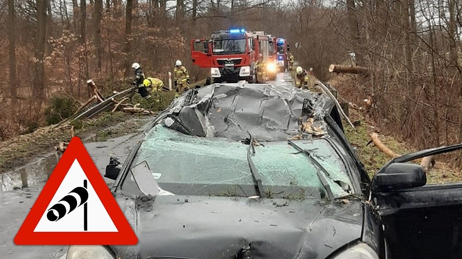 Samochód zniszczony przez spadającą gałąź. Fot. KP PSP Brzeg.