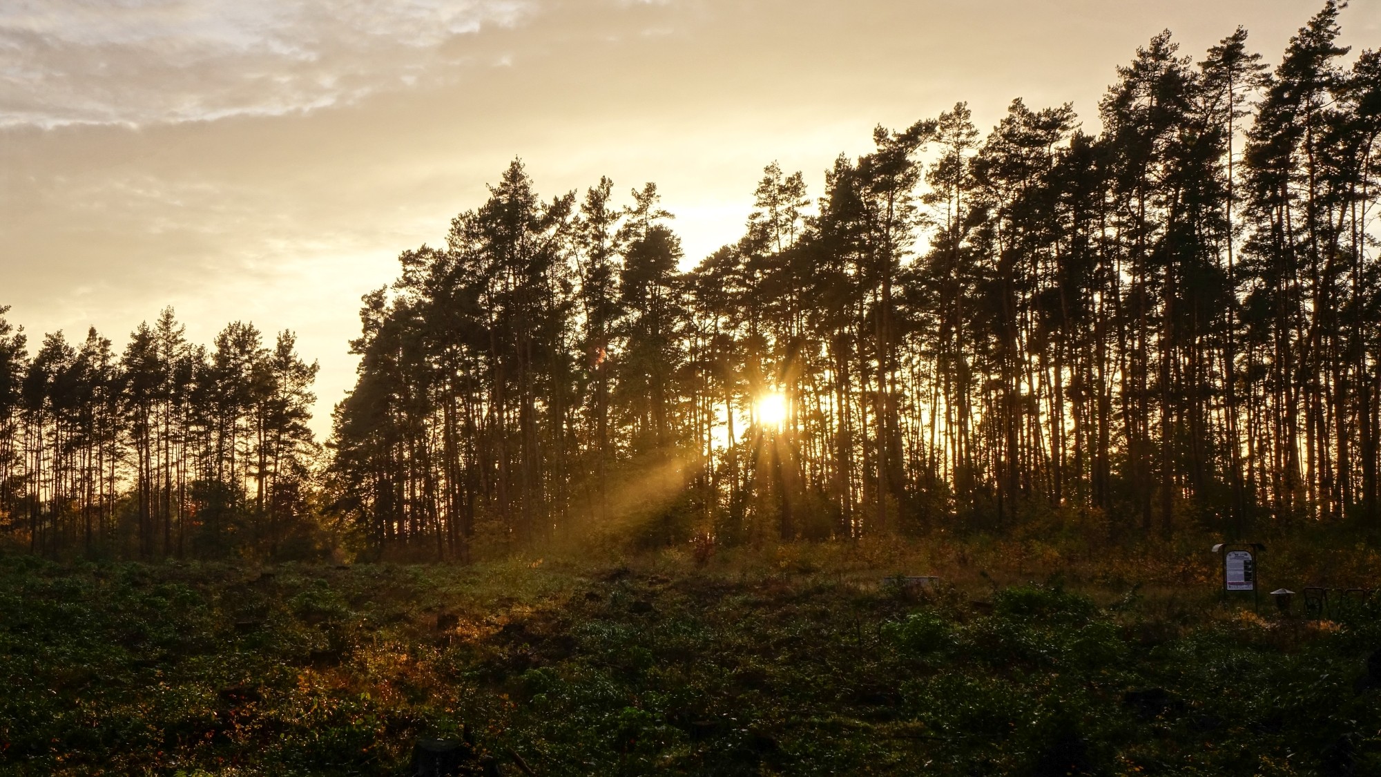 Urocze zakątki w lasach - zdjęcie 35