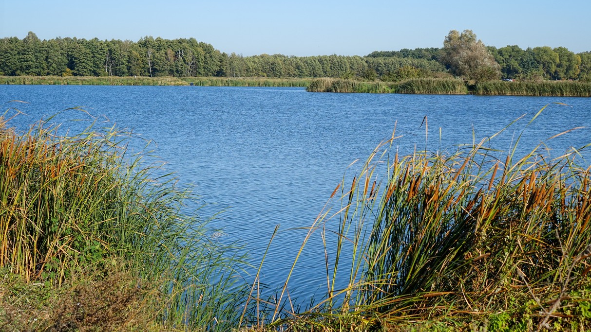 Jesienne krajobrazy za miastem - zdjęcie 7