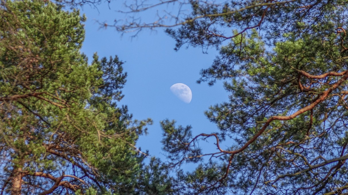 Powiewy wiosny - zdjęcie 7