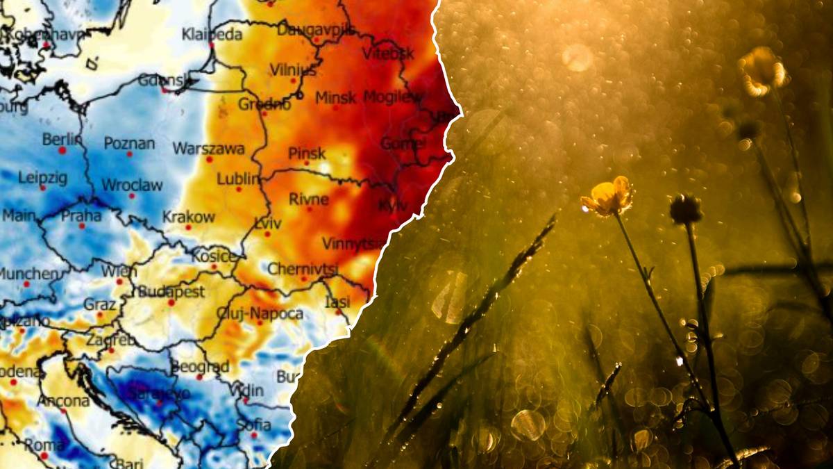 Mapa Europy z prognozowanymi temperaturami połączona z widokiem na mokrą trawę i kwiaty.