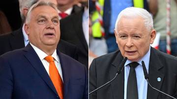 Jarosław Kaczyński spotka się z Viktorem Orbanem? Rzecznik PiS zabrał głos