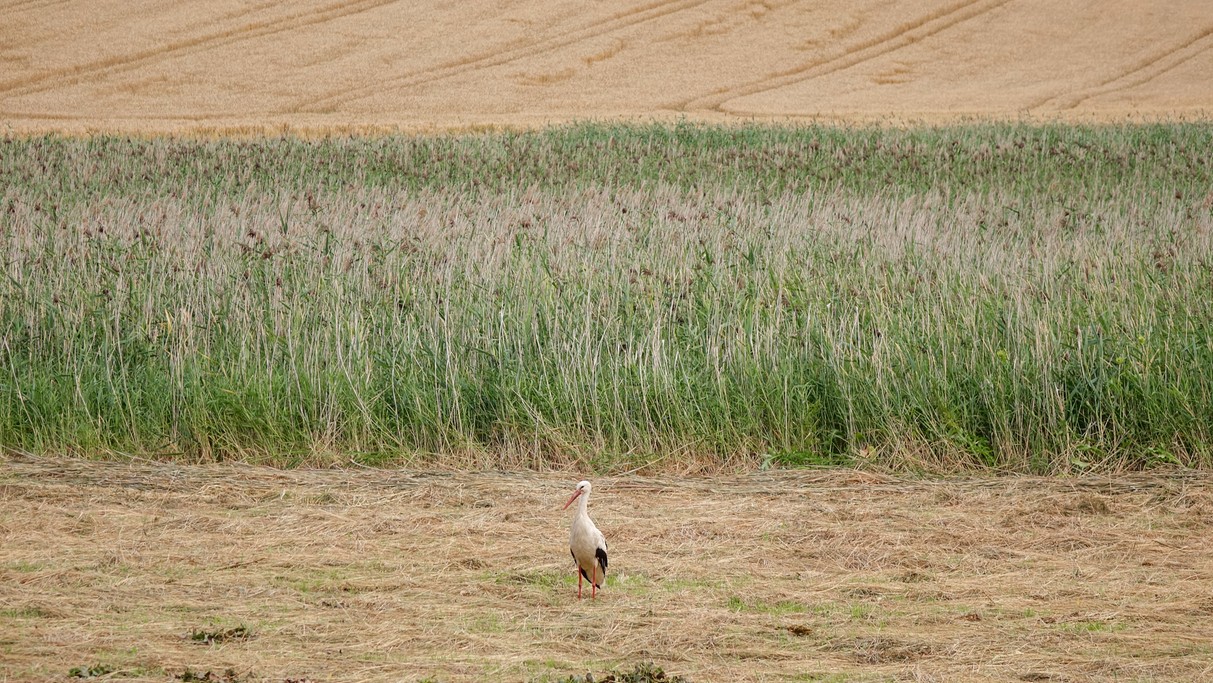 Lipiec w obiektywie - zdjęcie 55