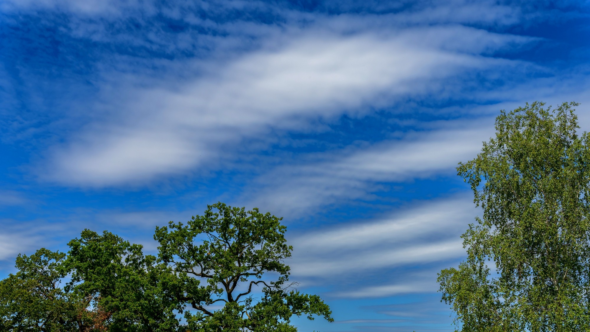 Niebo nad nami - zdjęcie 21