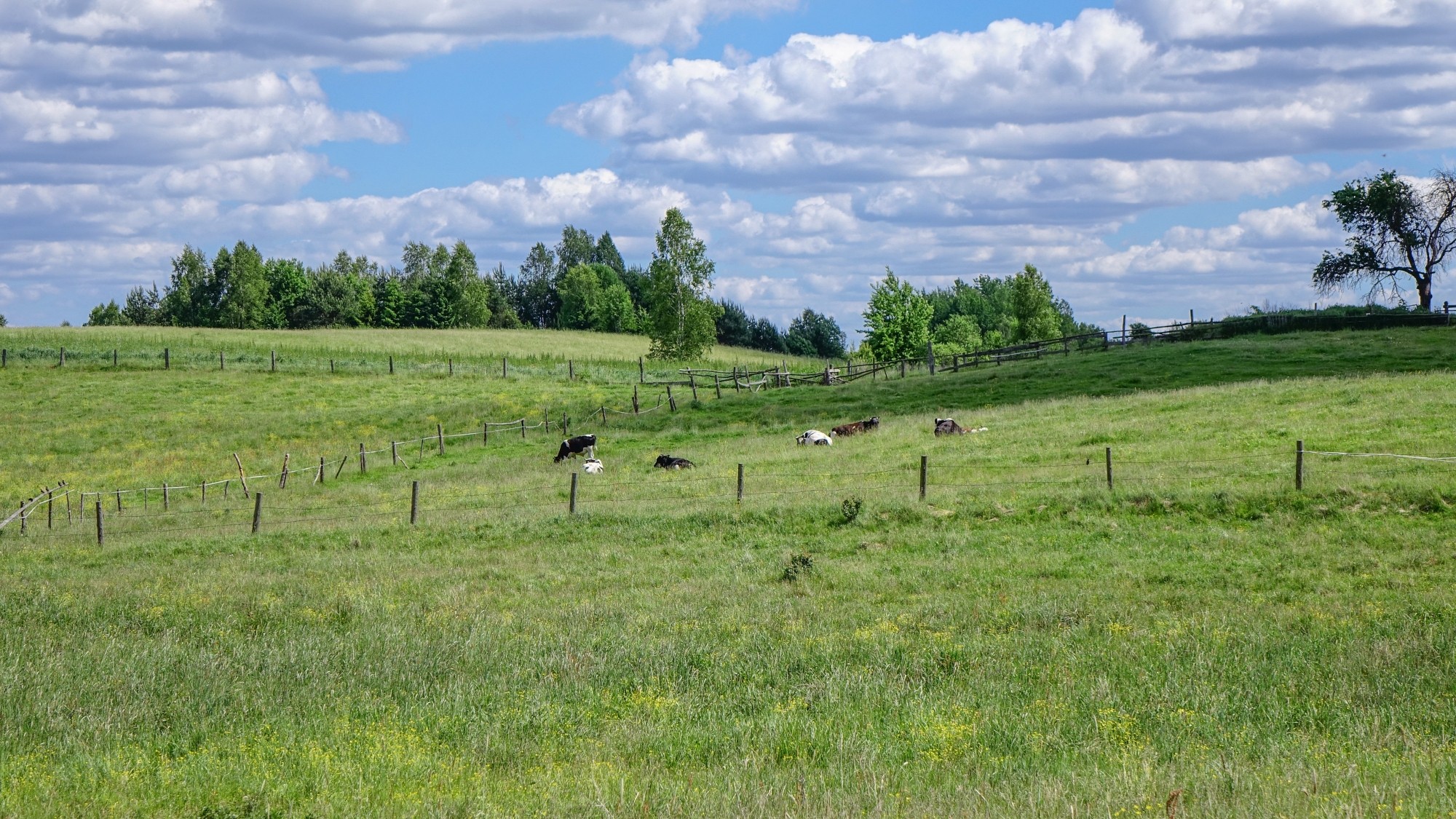 Polskie krajobrazy w 2019 roku - zdjęcie 46