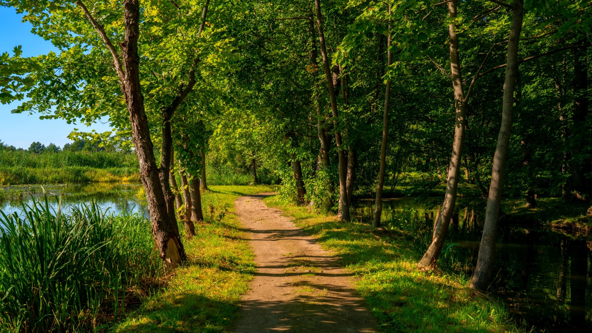 Wśród natury - zdjęcie 23