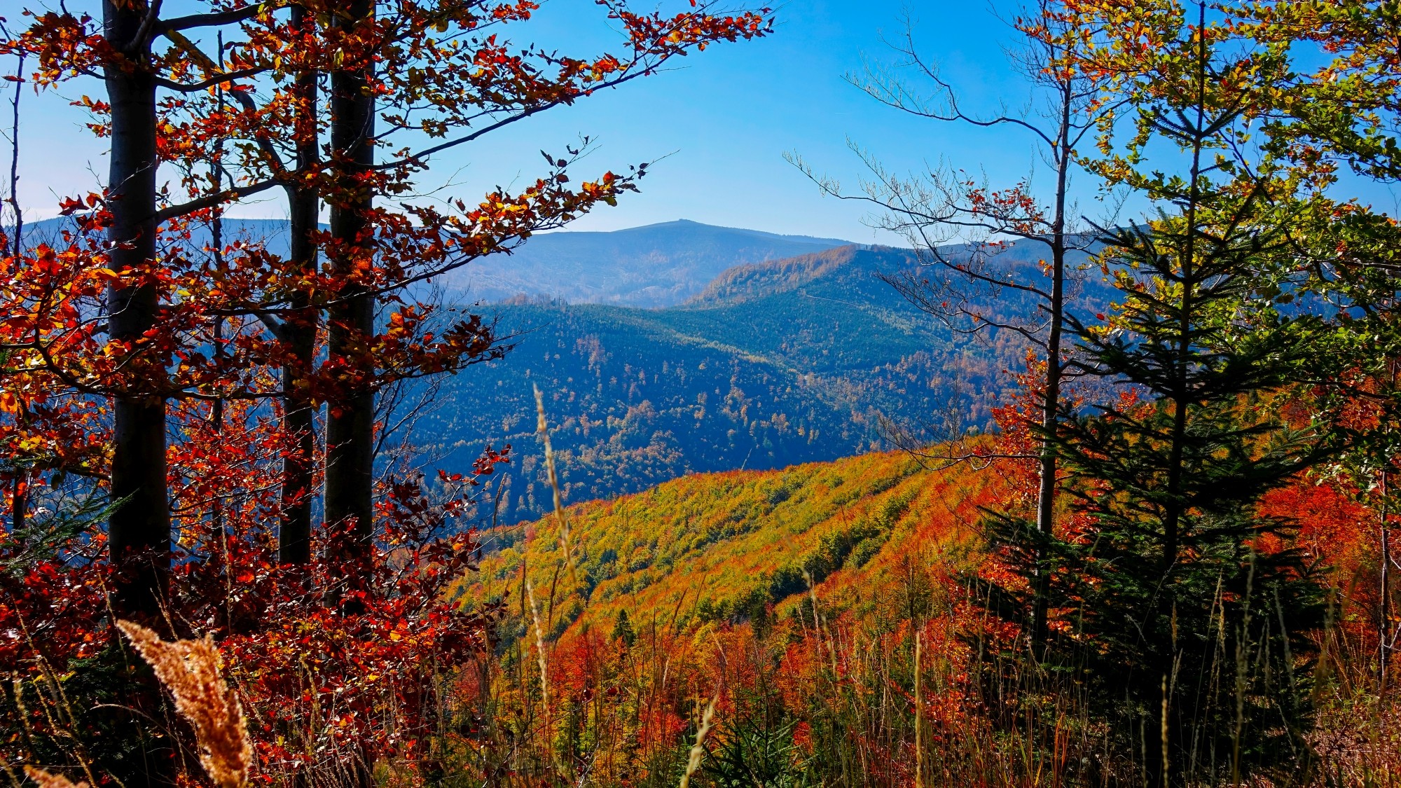 Kraina jesieni - zdjęcie 9