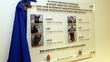 Policjanci uczcili pamięć psów, które zginęły w wyniku awarii ciepłociągu na warszawskiej Pradze
