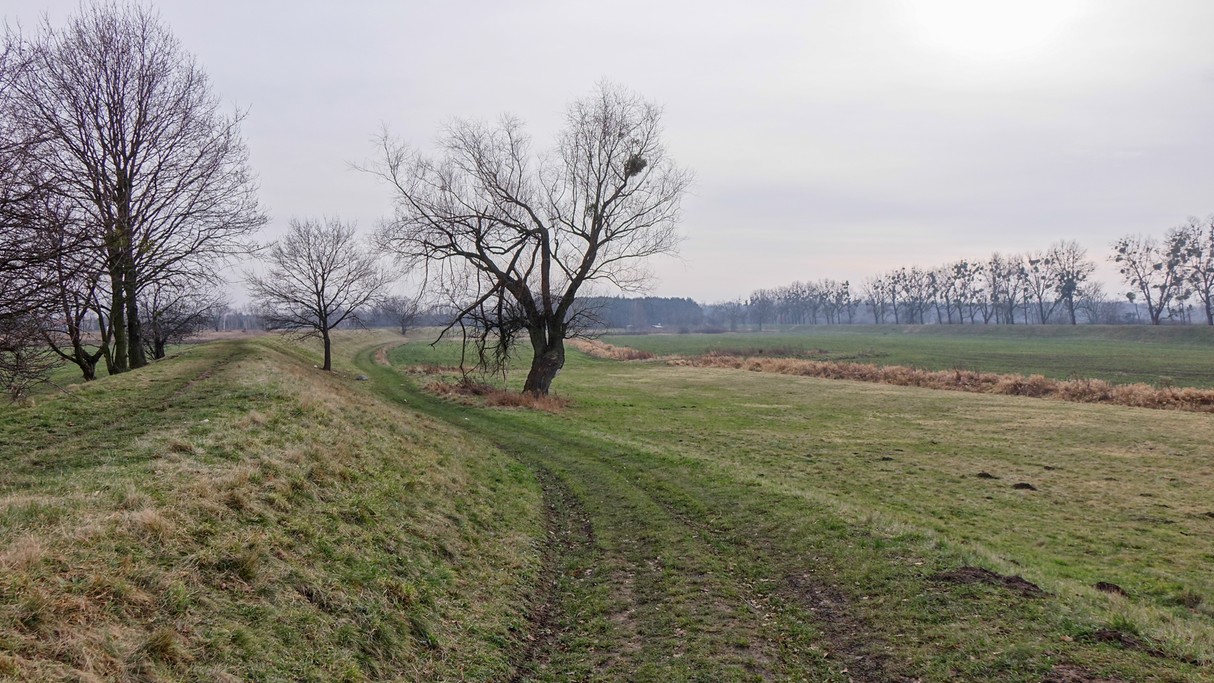Styczeń w obiektywie - zdjęcie 16