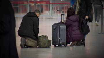 Ukraińcy po wojnie wrócą do kraju? Padły trudne pytania