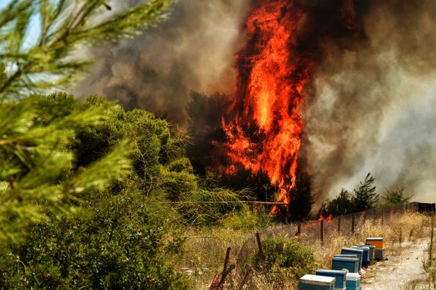 Greccy strażacy walczą z pożarem na Peloponezie